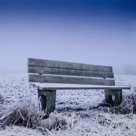 酒店 Ferienwohnung Riedl